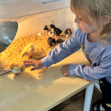 Ignite Early Learning Centre | Ignite Early Learning Centre & Childcare Macquarie Fields Ignite Early Learning Centre | Ignite Early Learning Centre & Childcare Macquarie Fields